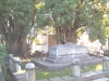 cementerio3