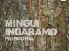 patagonia