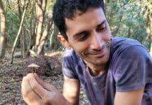 ARI FLORES: «ESTA VEZ LA BÚSQUEDA INTERIOR ME LLENÓ DE MENSAJES»