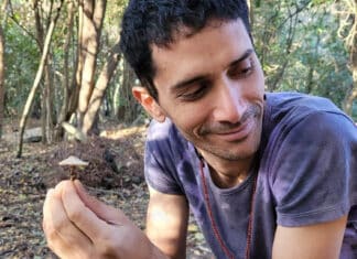 ARI FLORES: «ESTA VEZ LA BÚSQUEDA INTERIOR ME LLENÓ DE MENSAJES»