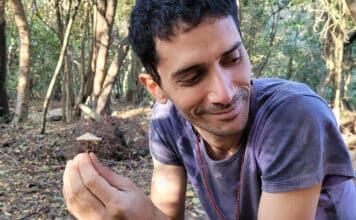 ARI FLORES: «ESTA VEZ LA BÚSQUEDA INTERIOR ME LLENÓ DE MENSAJES»