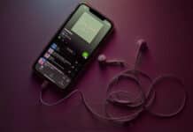 SPOTIFY: «CARACTERÍSTICAS DE LOS ARTISTAS MÁS EXITOSOS EN LA PLATAFORMA»